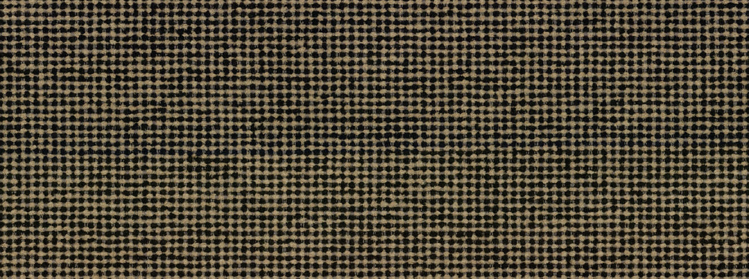 Motley 936 Black/Tan by Covington Designer Fabric