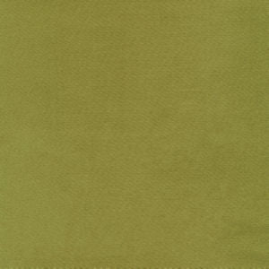 Moxy Kiwi by Norbar Designer Fabric MOXY 100% MERCERIZED COTTON INDIA 54 - Swanky Fabrics -