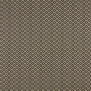 Moya 1 Charcoal by Marcus William Designer Fabric