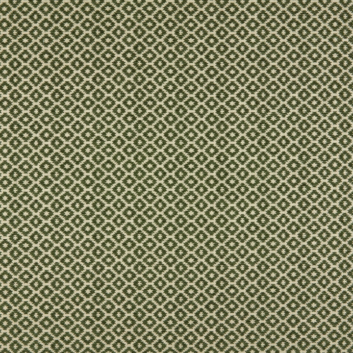 Moya 2 Moss by Marcus William Fabric Marcus William Fabric Moya 2 MossFabric KAI/MARCUS WILLIAM MAJORELLE 56%POL 44%COT INDIA </p><p>Repeat: H: 1.500, V: 1.125 55 in - Fabric Carolina -