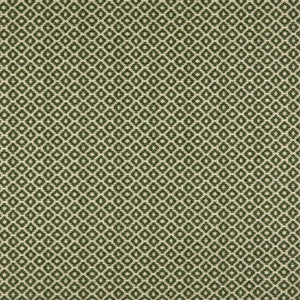 Moya 2 Moss by Marcus William Designer Fabric