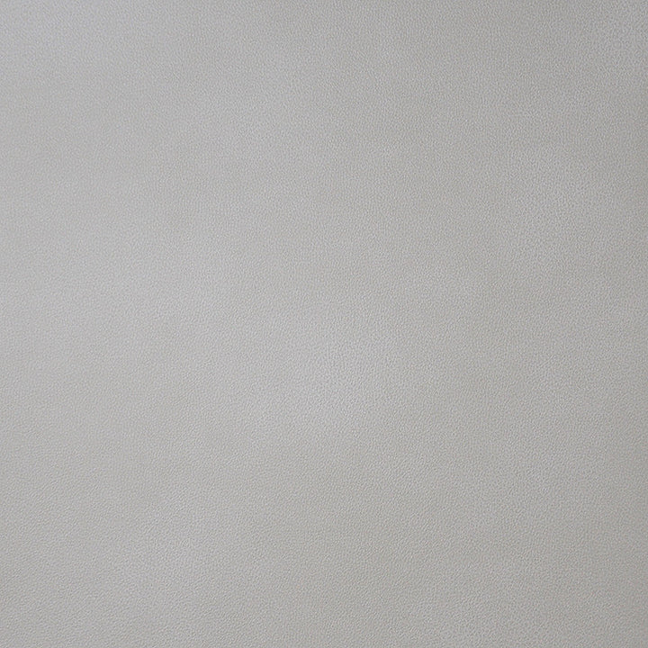 Monaco # 01 Alabaster by Maxwell Designer Fabric Easy Rider Iii 100% POLYURETHANE CHINA 54" - Swanky Fabrics -