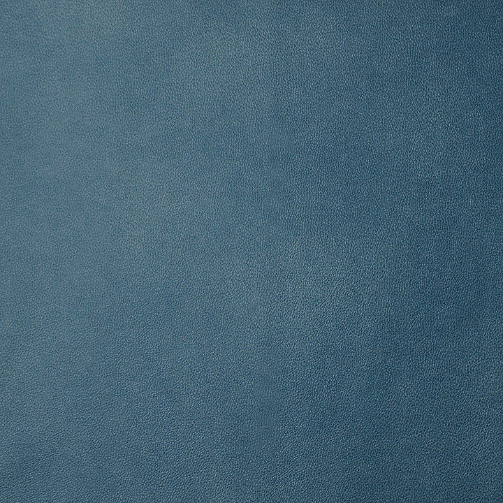 Monaco # 53 Sodalite by Maxwell Designer Fabric Easy Rider Iii 100% POLYURETHANE CHINA 54" - Swanky Fabrics -