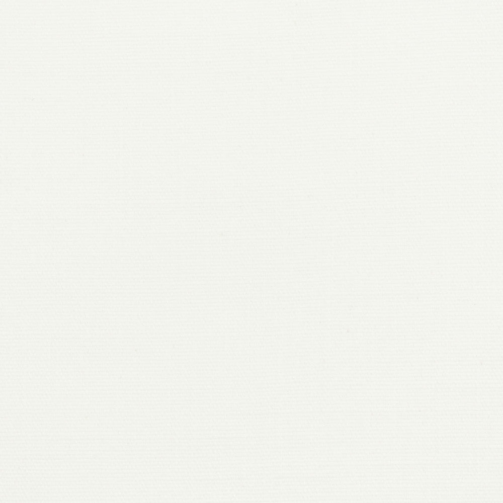 Mugo 3 Salt by Stout Designer Fabric COLOR APPEAL 100%COT PAKISTAN FLAME RETARDANT-U.F.A.C. CLASS 1 CATB 117-2013 WYZENBEEK 45 000 DOUBLE RUB WEAR TEST (HEAVY DUTY) PERFORMANCE RATED FABRIC Horizontal: 0.000 and Vertical: 0.000 55 in - Swanky Fabrics -