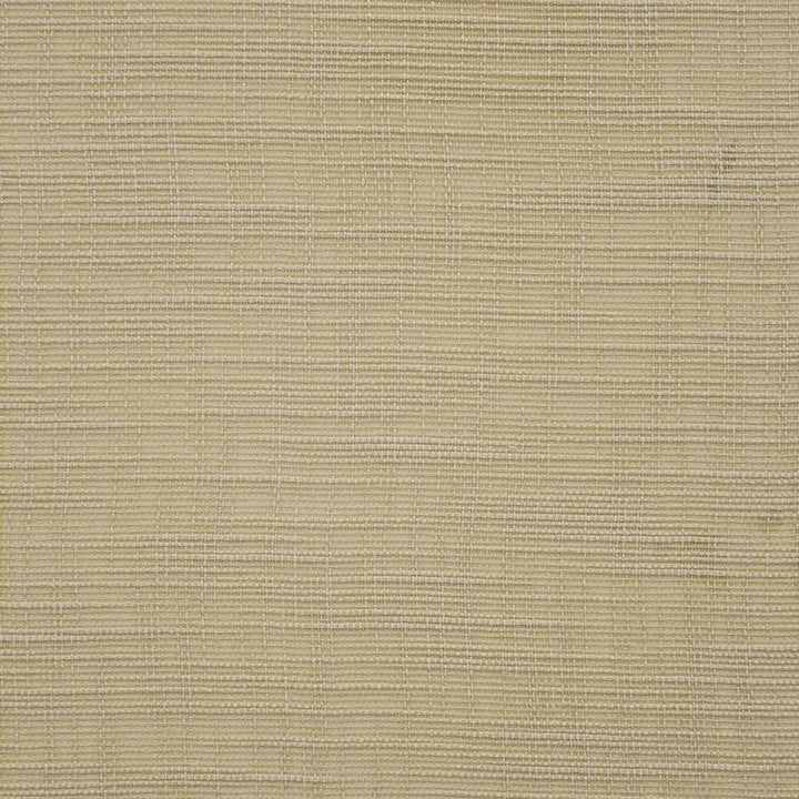 Marlena # 127 Nugget by Maxwell Designer Fabric Pure & Simple Ix 100% POLYESTER INDIA 54" - Swanky Fabrics -