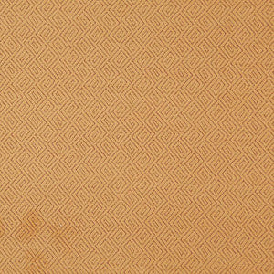 Magellan # 534 Amber by Maxwell Designer Fabric