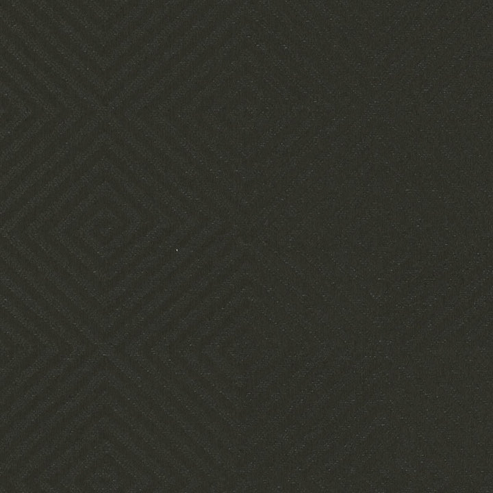 Marconi # 313 Onyx by Maxwell Designer Fabric COLORGUARD-PASHMINA 100% POLYESTER INDIA V-4.3" H-4.5" 54.7" - Swanky Fabrics -