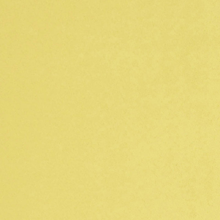 Myles 16J7121 by JF Designer Fabric Myles Book 100% Polyester Taiwan 55000 Horizontal: and Vertical: 55 - Swanky Fabrics -