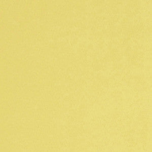 Myles 16J7121 By JF Designer Fabric