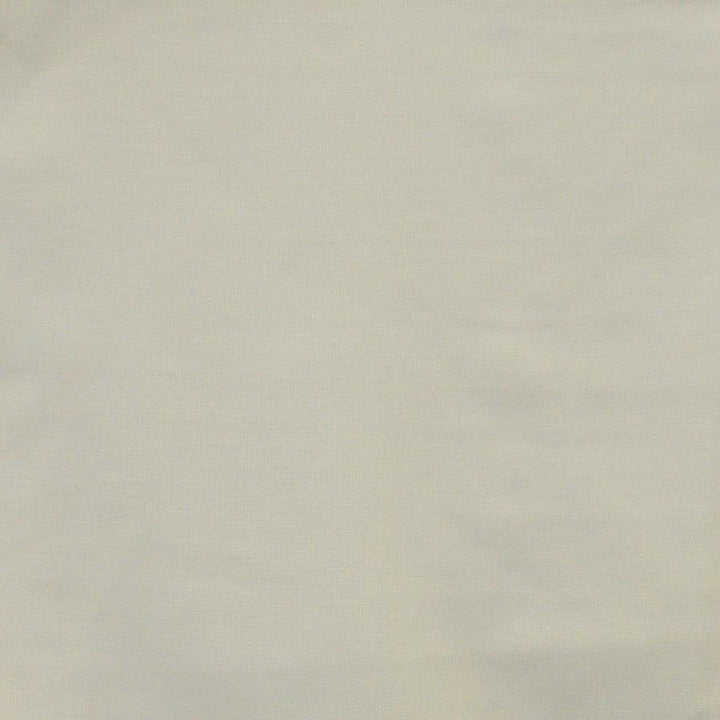 Mercutio # 629 Veil by Maxwell Designer Fabric Sheer Textures 100% POLYESTER TURKEY 118" - Swanky Fabrics -