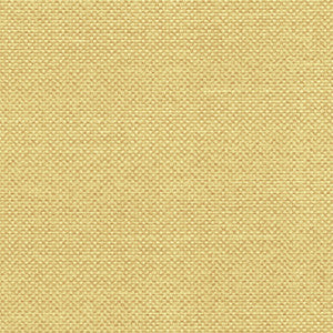 Maglia Goldenrod by Spradling Designer Fabric
