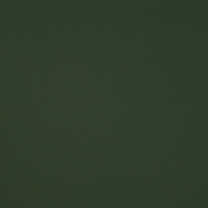 Matinee Grass by Europatex Designer Fabric