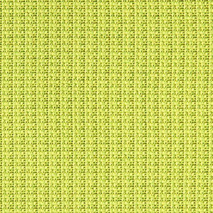 Motto Lizard by Crypton Designer Fabric