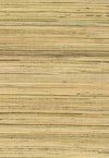 Jute Brown, Metallic Gold NA203 by Seabrook Designs Designer Wallpaper