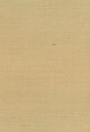 Sisal Brown NA211 by Seabrook Designs Designer Wallpaper
