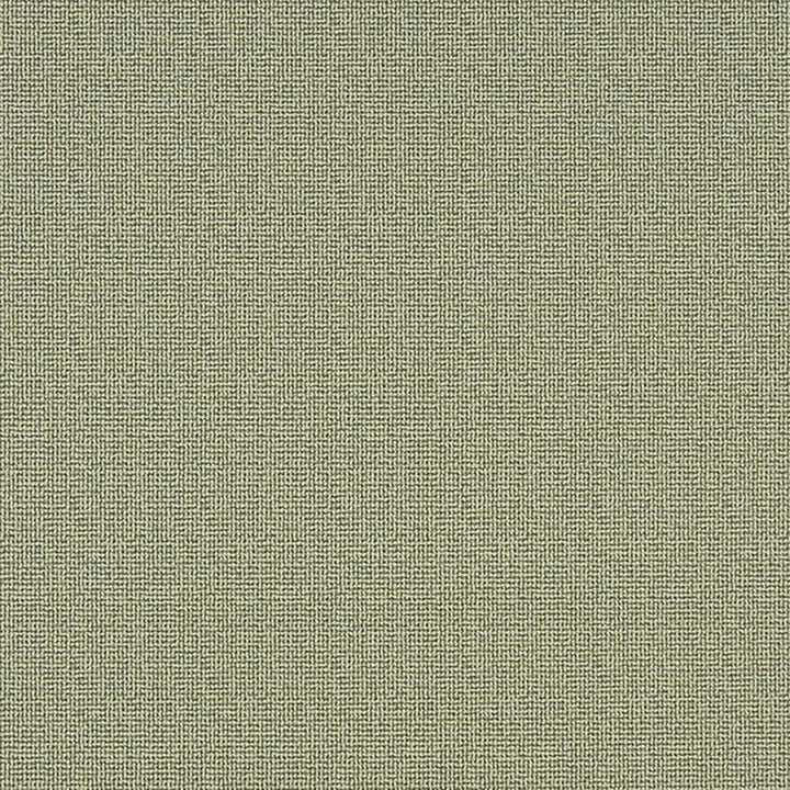 Napanee 74J7031 by JF Crypton Designer Fabric Crypton Binder 100% Polyester United States 50000 Horizontal: and Vertical: 54 - Swanky Fabrics -