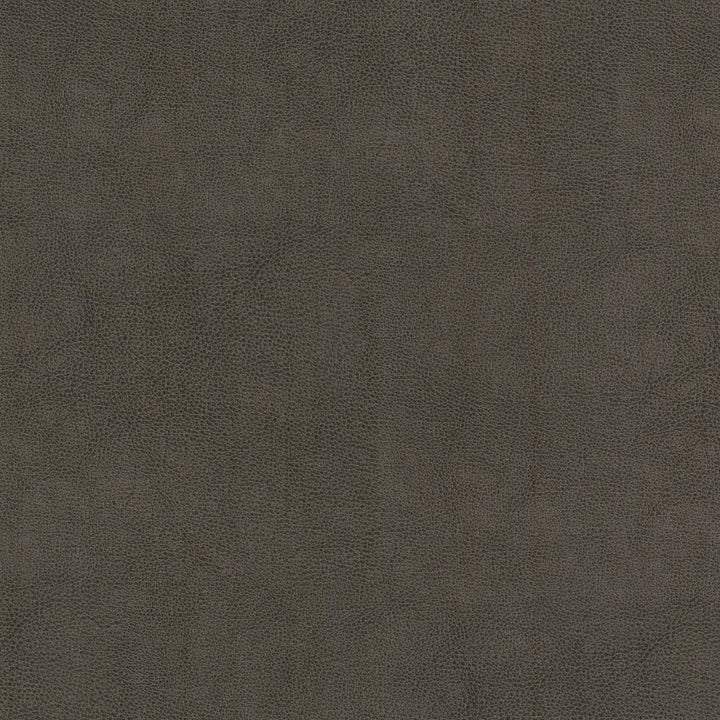 Narcissus 1 Shadow by Stout Designer Fabric LEATHER LOOKS V 100%POU 100%OTH CHINA Horizontal: 0.000 and Vertical: 0.000 54 in - Swanky Fabrics -
