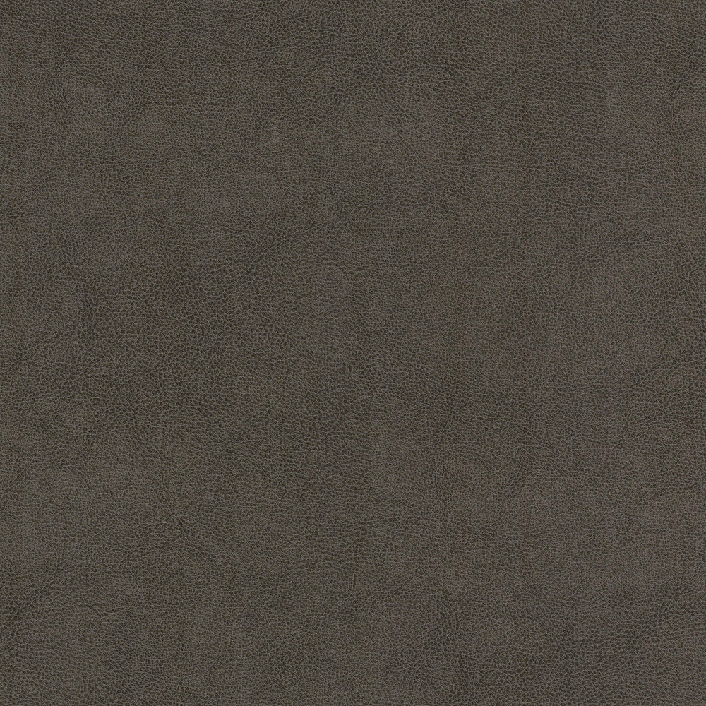 Narcissus 1 Shadow by Stout Fabric Stout Fabric Narcissus 1 ShadowFabric LEATHER LOOKS V 100%POU 100%OTH CHINA </p><p>Repeat: H: 0.000, V: 0.000 54 in - Fabric Carolina -