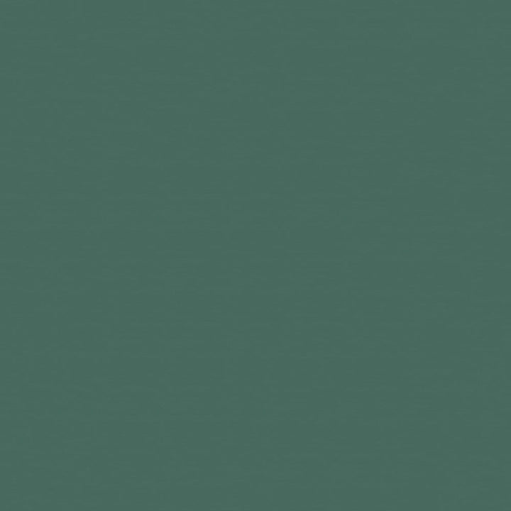 Nauga Soft 45 Mint Leaf by Naugahyde Designer Fabric 100% Polyvinyl Chloride (PVC) US 1,000,000 Double Rubs (Wyzenbeek) </p><p>Repeat: Horizontal: and Vertical: 54" (137 cm) - Swanky Fabrics -