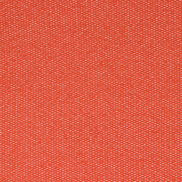Neptune Persimmon by Bella-Dura Designer Fabric  100% BELLA DURA POLYOLEFIN USA 70000 H: .375'' V: .125'' 53''  - Swanky Fabrics -