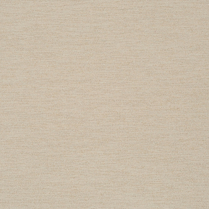 Newmarket 92J7031 by JF Crypton Designer Fabric Crypton Binder 100% Polyester China 50000 Horizontal: and Vertical: 54 - Swanky Fabrics -