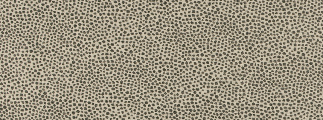 New Dotify 948 Charcoal by Covington Designer Fabric