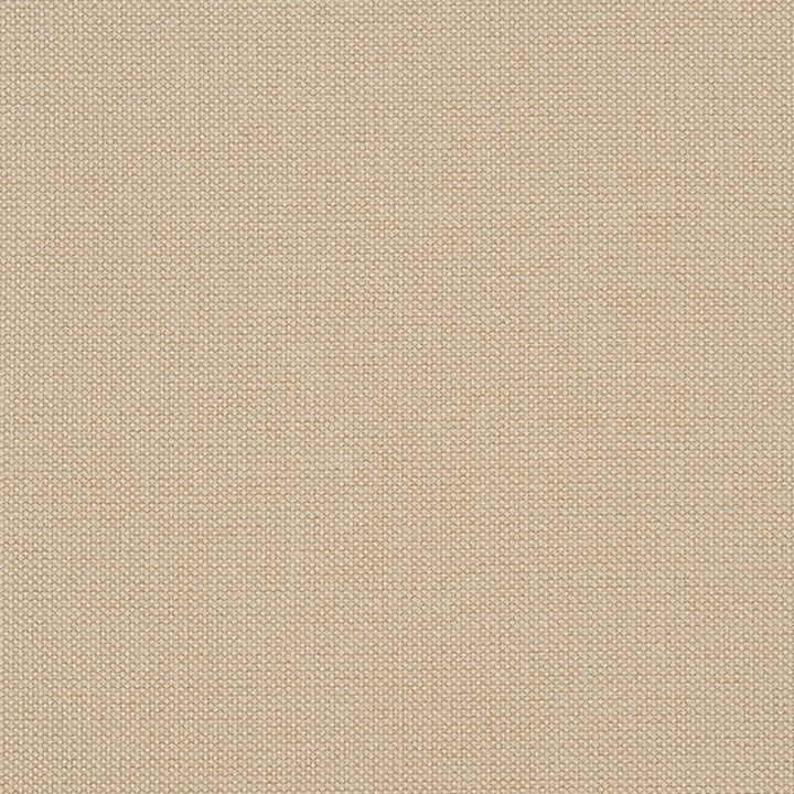 Niagara 70J7031 by JF Crypton Designer Fabric Crypton Binder 100% Polyester China 50000 Horizontal: and Vertical: 54 - Swanky Fabrics -