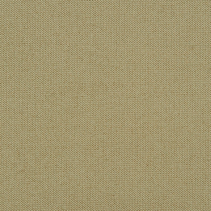 Niagara 74J7031 by JF Crypton Designer Fabric Crypton Binder 100% Polyester China 50000 Horizontal: and Vertical: 54 - Swanky Fabrics -
