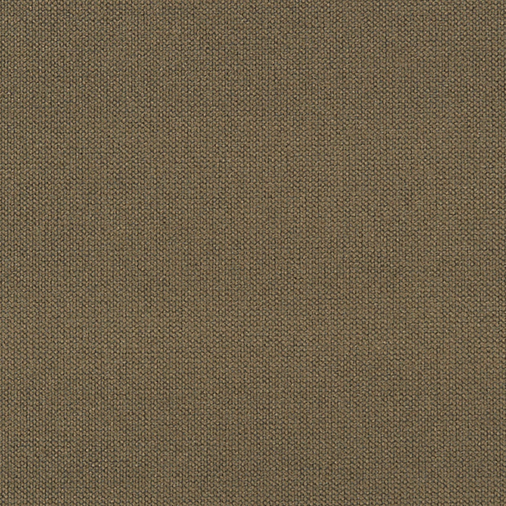 Niagara 97J7031 by JF Crypton Designer Fabric Crypton Binder 100% Polyester China 50000 Horizontal: and Vertical: 54 - Swanky Fabrics -