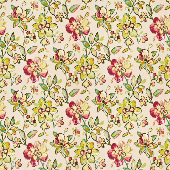 Nidus 1 Blossom by Stout Designer Fabric RAINBOW LIBRARY BLUSH/SORBET 100%COT INDIA FLAME RETARDANT-U.F.A.C. CLASS 1 FLAME RETARDANT-N.F.P.A. 260A CLASS 1 CATB 117-2013 WYZENBEEK 20 000 DOUBLE RUB WEAR TEST (HEAVY DUTY) Horizontal: 27 and Vertical: 27 54 in - Swanky Fabrics -