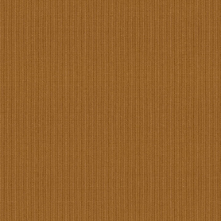 Nimble Caramel by Kravet Couture Designer Fabric NYLON - 100% Japan HEAVY Horizontal: and Vertical: 54 - Swanky Fabrics -