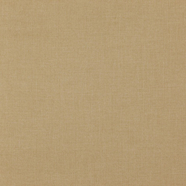 NORTH 13J7881 by JF Designer Fabric EVERYDAY NORTHEAST 100% Polyester CHINA ABRASIO (HEAVY DUTY- 30,000+ DOUBLE RUBS) Horizontal: N/A and Vertical: N/A 56.00 - Swanky Fabrics -