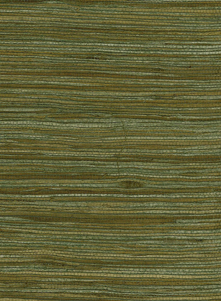 Water Hyacinth Green, Tan NR182X by Seabrook Designs Designer Wallpaper