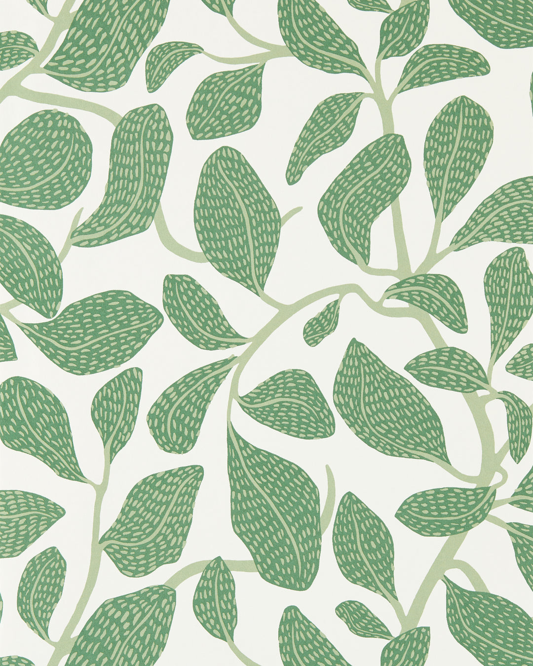 Sweet Bay Wp - Forest NSCW113268.SCN.0 by Scion Designer Wallcovering