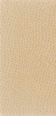 Nuostrich Putty by Kravet Basics Designer Fabric - NYLON - 100% Japan HEAVY Horizontal: 0 and Vertical: 0 54 - Swanky Fabrics -