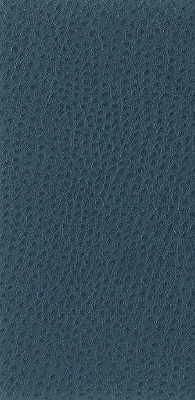 Kravet Basics Nuostrich-5 by Kravet Basics Fabric Kravet Basics Fabric Kravet Basics Nuostrich-5Fabric NYLON - 100% Japan </p><p>Repeat: H: 0, V: 0 54 - Fabric Carolina -