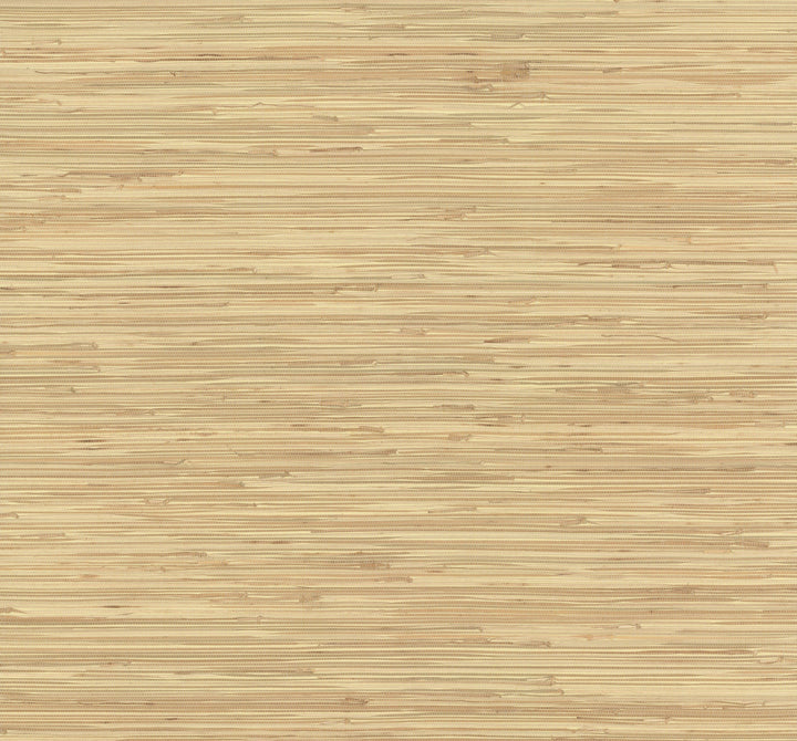 River Grass Beige Wallpaper by York Wallcoverings Designer