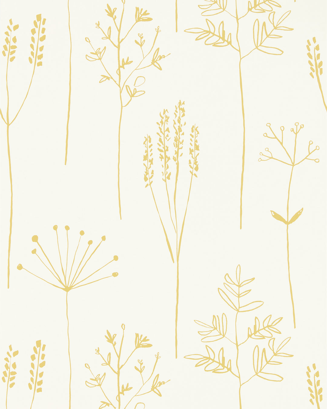 Stipa - Honey NZAW112021.SCN.0 by Scion Designer Wallcovering