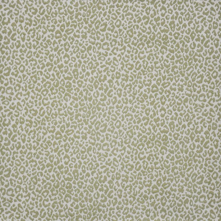 Osbourne # 247 Fern by Maxwell Designer Fabric Upholstery Palettes-Laguna 75% RAYON/25% POLYESTER CHINA V-7"H-14" 56" - Swanky Fabrics -