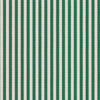 On Deck # 647 Fern by Maxwell Designer Fabric