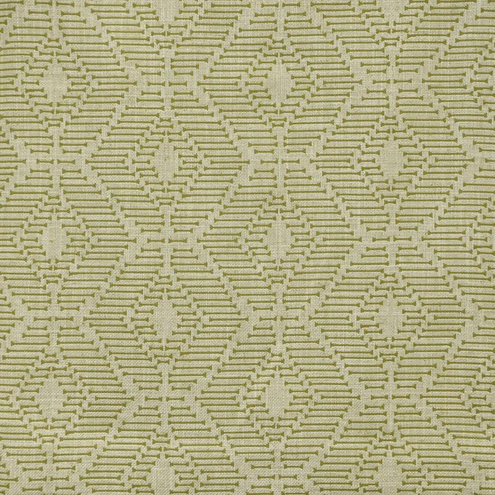 Orapa # 316 Olive by Maxwell Designer Fabric Color Theory-Vol.Vii Jungle Room 49% POLYESTER
45% COTTON
6% LINEN INDIA V-4.75" H-6.75" W: 56" - Swanky Fabrics -