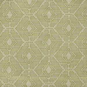 Orapa # 316 Olive by Maxwell Designer Fabric