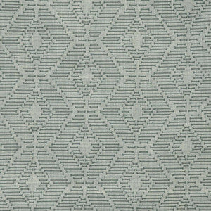 Orapa # 329 Beetle by Maxwell Designer Fabric