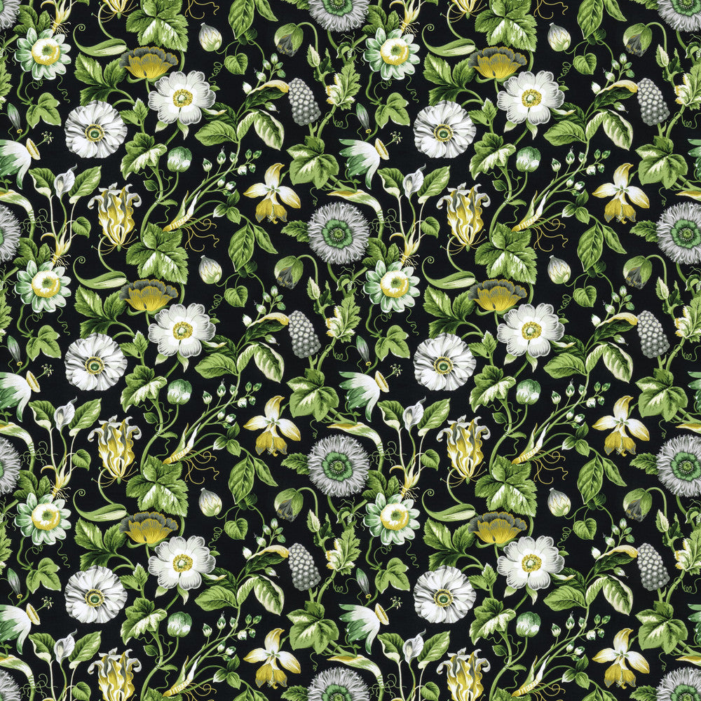 Obtuse 4 Black by Stout Designer Fabric RAINBOW LIBRARY FOG/COAL 100%COT PERU FLAME RETARDANT-U.F.A.C. CLASS 1 CATB 117-2013 WYZENBEEK 20 000 DOUBLE RUB WEAR TEST (HEAVY DUTY) Horizontal: 27 and Vertical: 18 54 in - Swanky Fabrics -