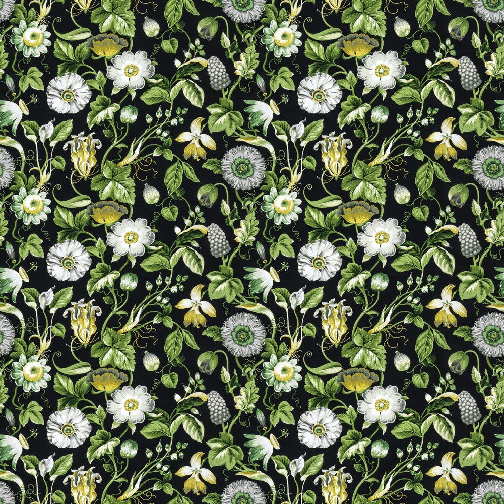 Obtuse 4 Black by Stout Designer Fabric RAINBOW LIBRARY FOG/COAL 100%COT PERU Horizontal: 27.000 and Vertical: 18.000 54 in - Swanky Fabrics -