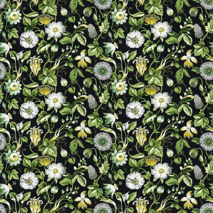 Obtuse 4 Black by Stout Designer Fabric RAINBOW LIBRARY FOG/COAL 100%COT PERU Horizontal: 27.000 and Vertical: 18.000 54 in - Swanky Fabrics -