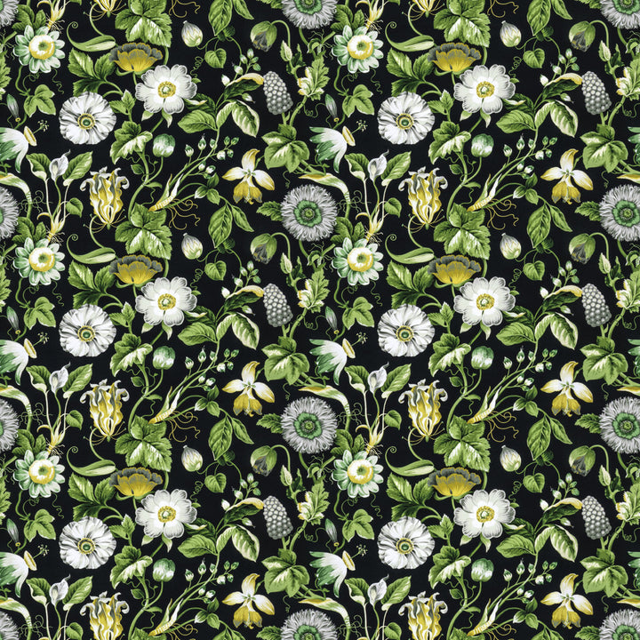 Obtuse 4 Black by Stout Designer Fabric RAINBOW LIBRARY FOG/COAL 100%COT PERU FLAME RETARDANT-U.F.A.C. CLASS 1 CATB 117-2013 WYZENBEEK 20 000 DOUBLE RUB WEAR TEST (HEAVY DUTY) </p><p>Repeat: 18 54 in - Swanky Fabrics -