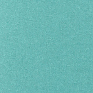 Od-Vilmer Bimini by Magnolia Designer Fabric