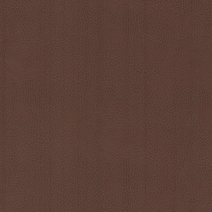 Odean 3 Rootbeer by Stout Designer Fabric LEATHER LOOKS V 100%POU 100%OTH CHINA FLAME RETARDANT-CA BULLETIN 117-CLASS 1 WYZENBEEK 15 000 DOUBLE RUB WEAR TEST (HEAVY DUTY) CATB 117-2013 Horizontal: 0.000 and Vertical: 0.000 54 in - Swanky Fabrics -