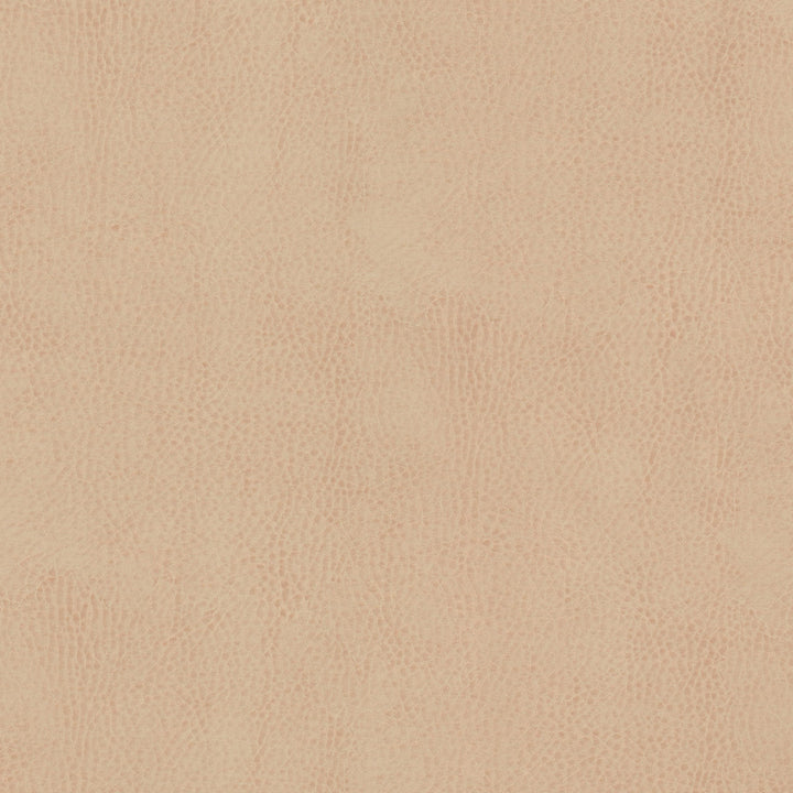 Odean 4 Sesame by Stout Fabric Stout Fabric Odean 4 SesameFabric LEATHER LOOKS V 100%POU 100%OTH CHINA </p><p>Repeat: H: 0.000, V: 0.000 54 in - Fabric Carolina -